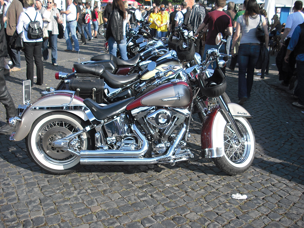 2008_CIMG0521.JPG