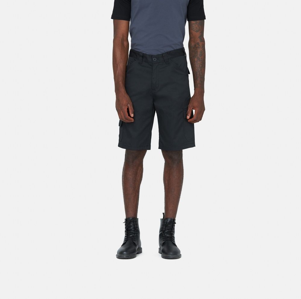 DickiesArbeitsshortEverydayShortDK0A867PBlack-28 DickiesArbeitsshortEverydayShortDK0A867PBlack-28