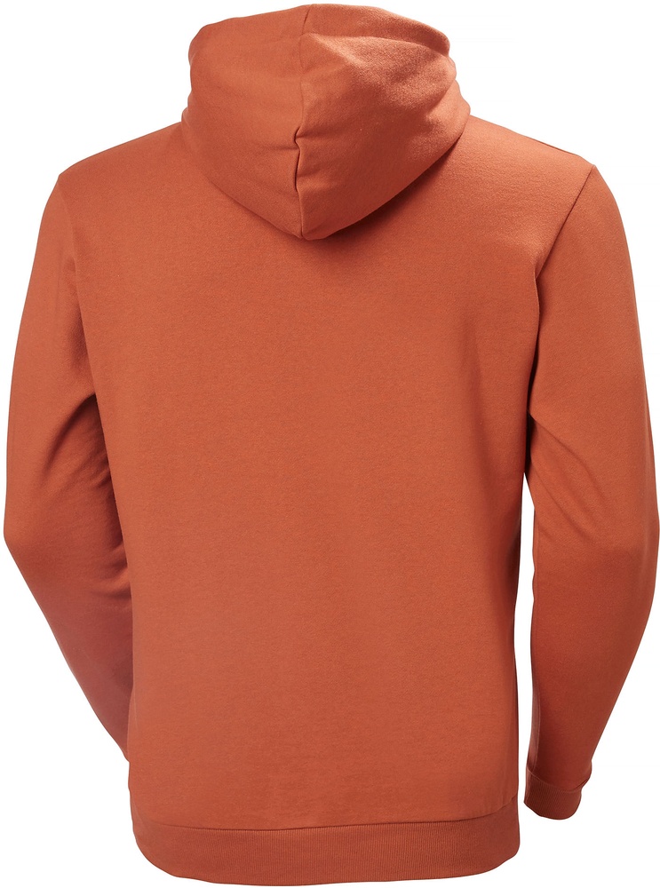 HellyHansenHoodieLogo79364