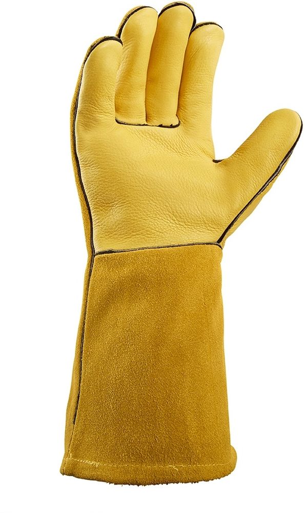 teXXorSchweierhandschuheFudschijama12Stck1209Beige-10