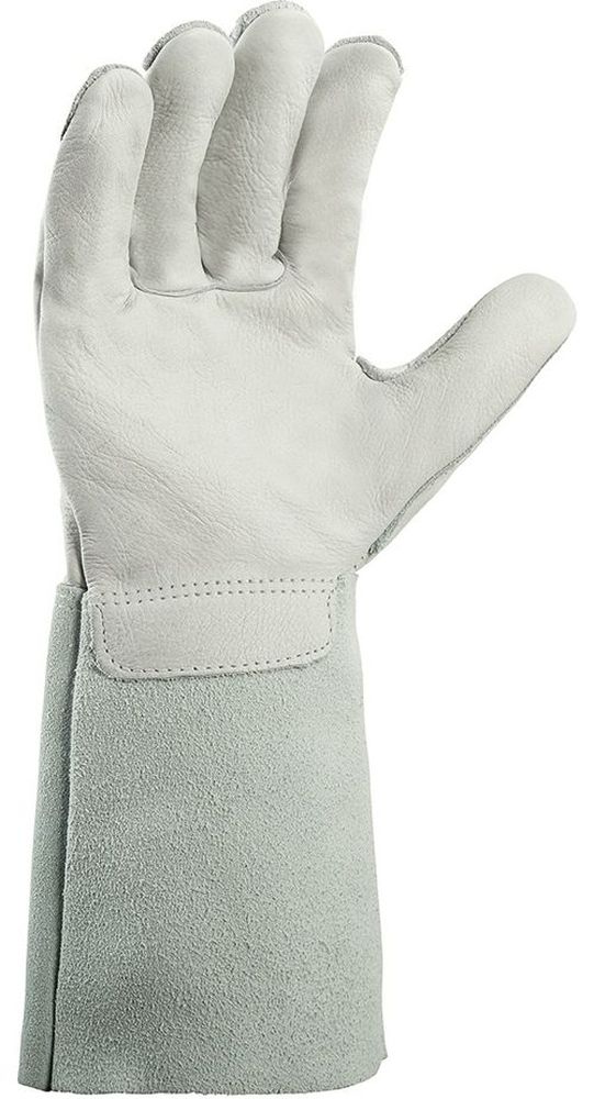 teXXorSchweierhandschuheTaupo12Stck1204