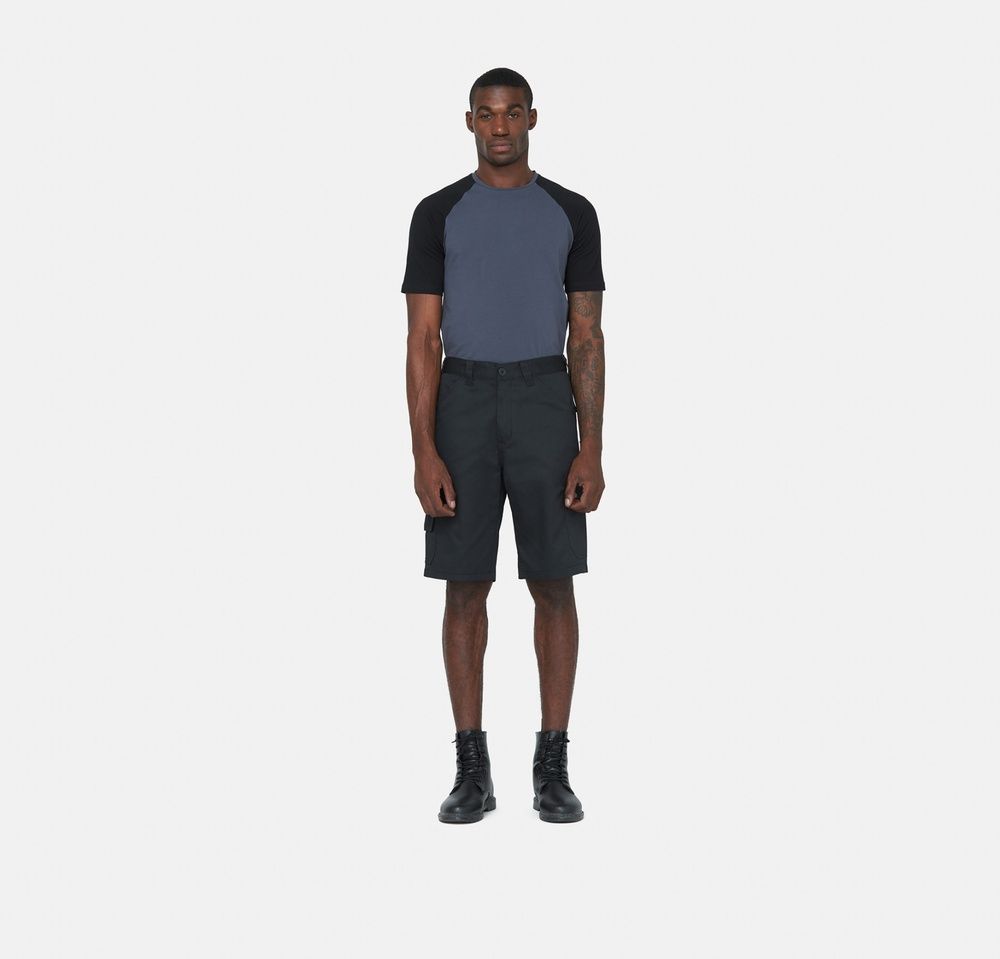 DickiesArbeitsshortEverydayShortDK0A867PBlack-28 DickiesArbeitsshortEverydayShortDK0A867PBlack-28